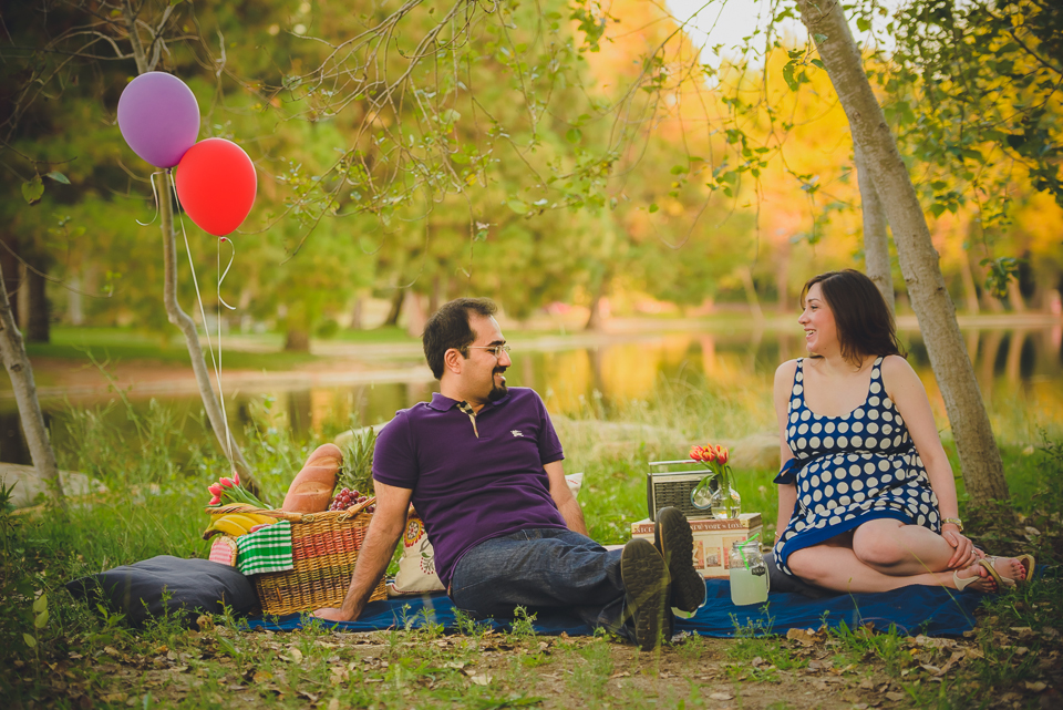 engaged couple having a picnic