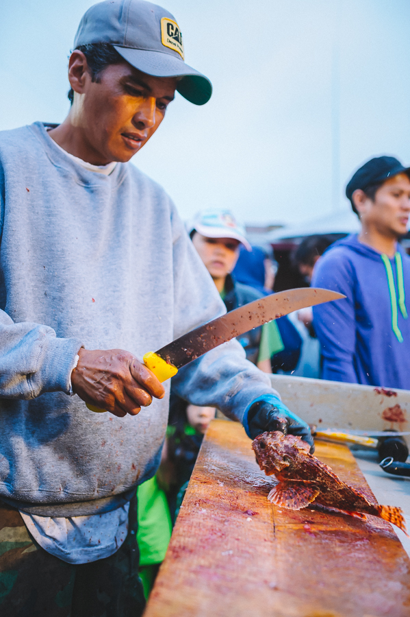 doryfleet fish market