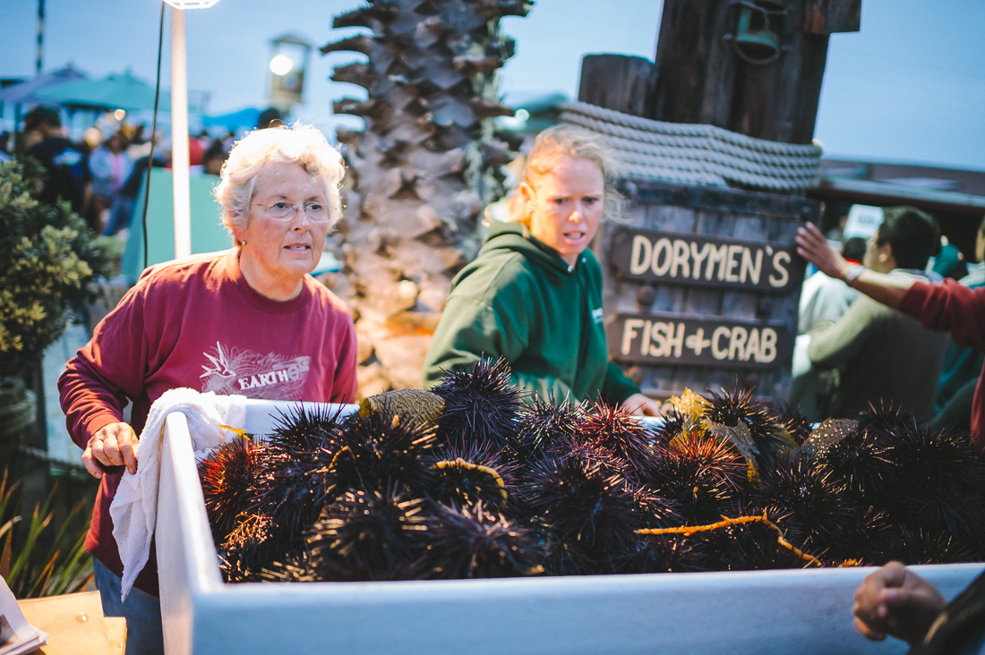 Dory Fleet Market