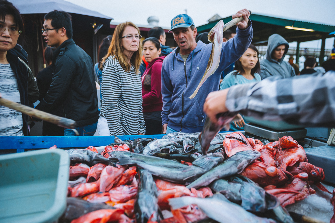 Dory Fleet Market