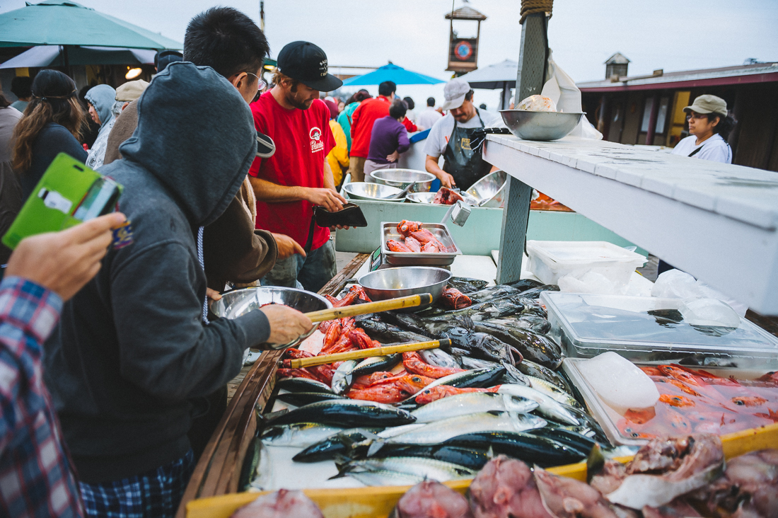 Dory Fleet Market