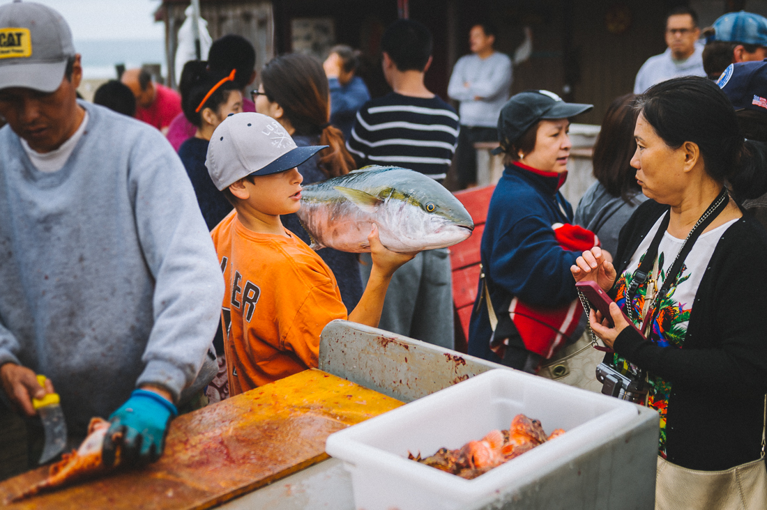 Dory Fleet Market