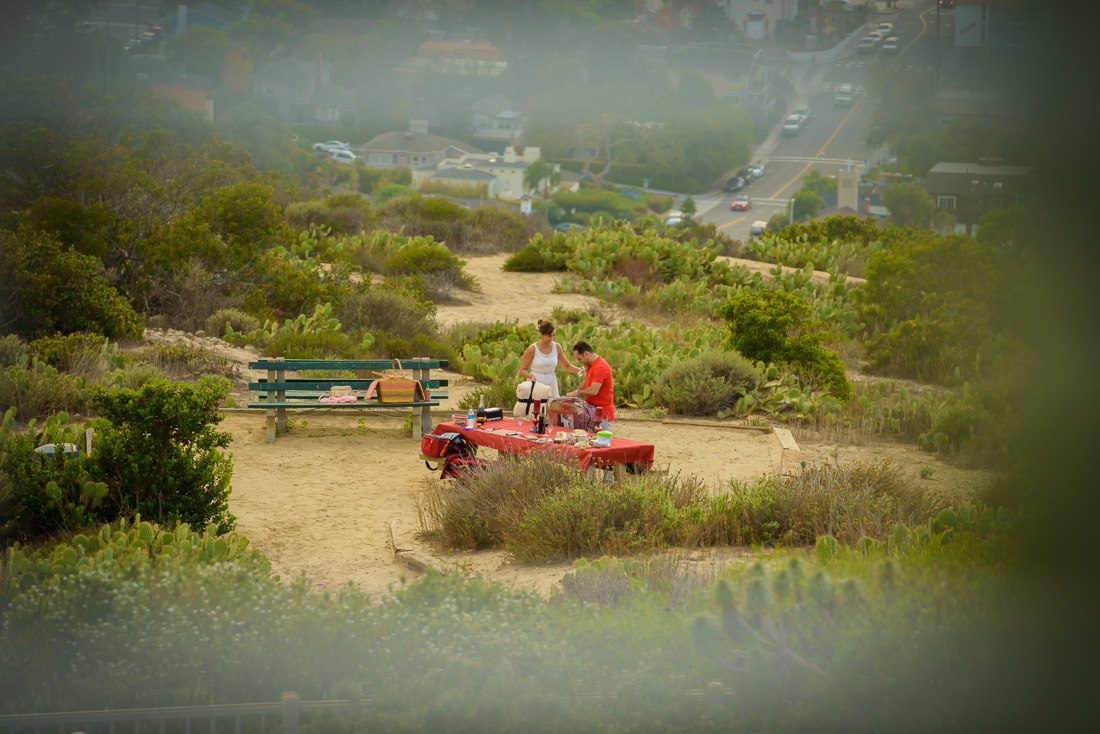 secret proposal Laguna Beach