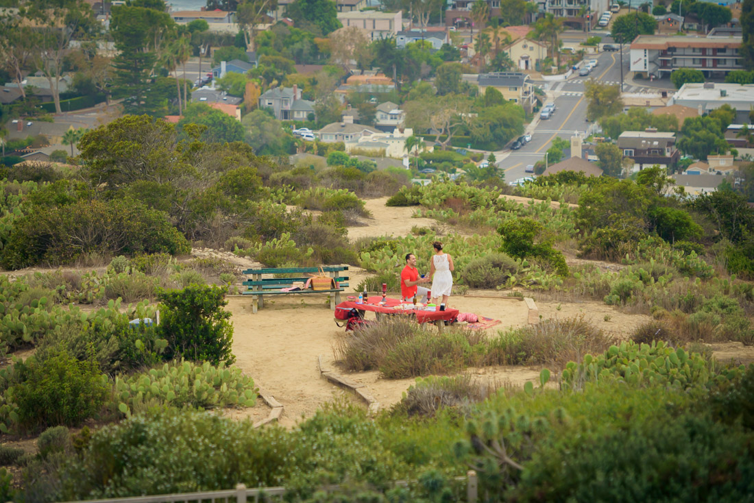 engagement photography laguna beach