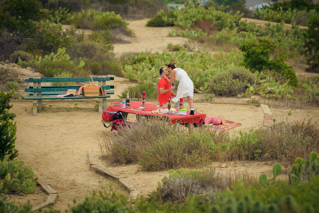 secret proposal Laguna Beach