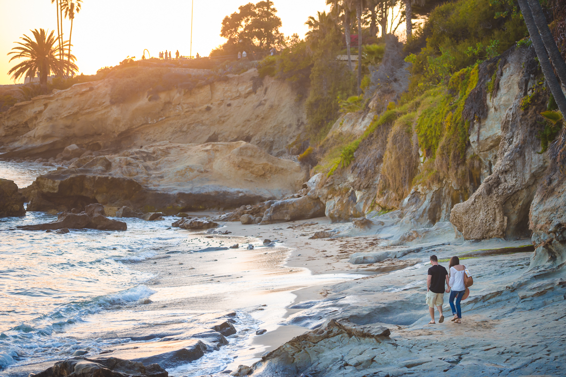 surprise proposal Laguna Beach