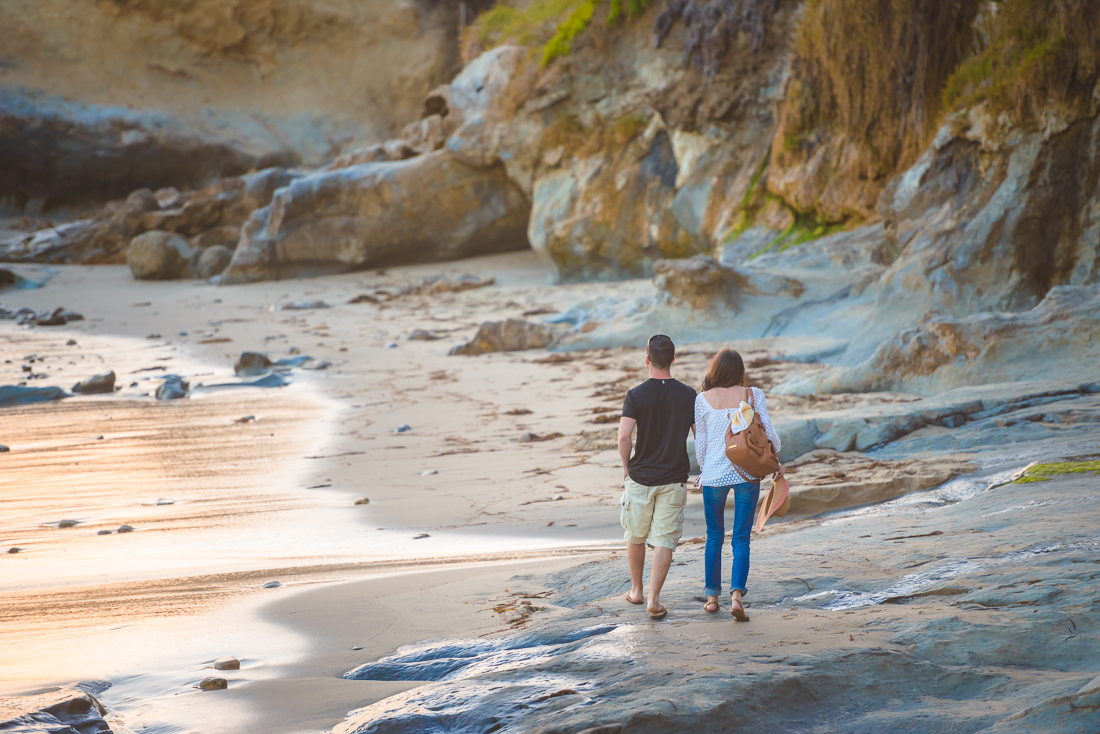 surprise proposal Laguna Beach