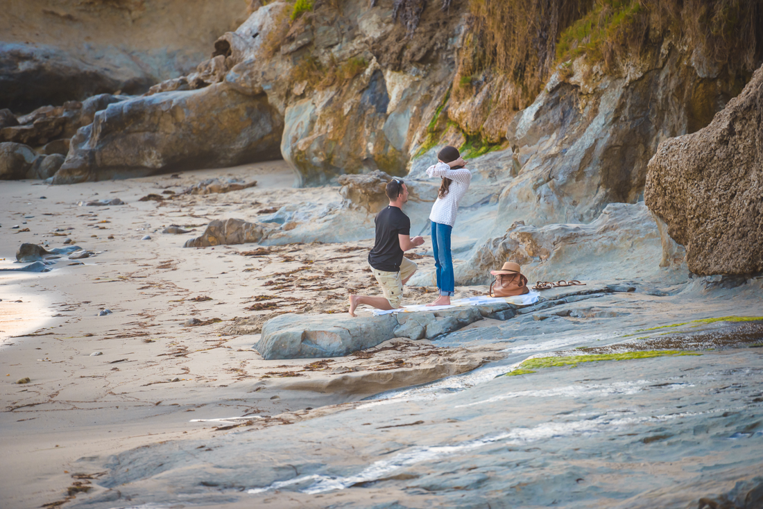 surprise proposal Laguna Beach