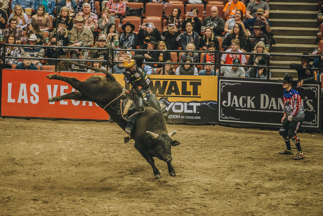 PBR Anaheim