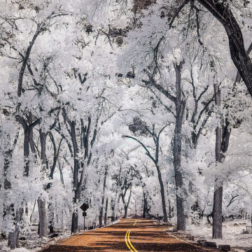 Zion National Park infrared