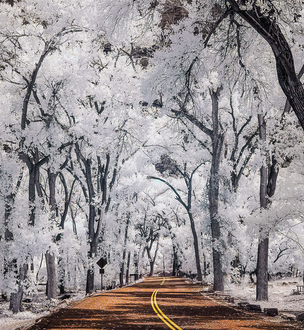 Zion National Park infrared