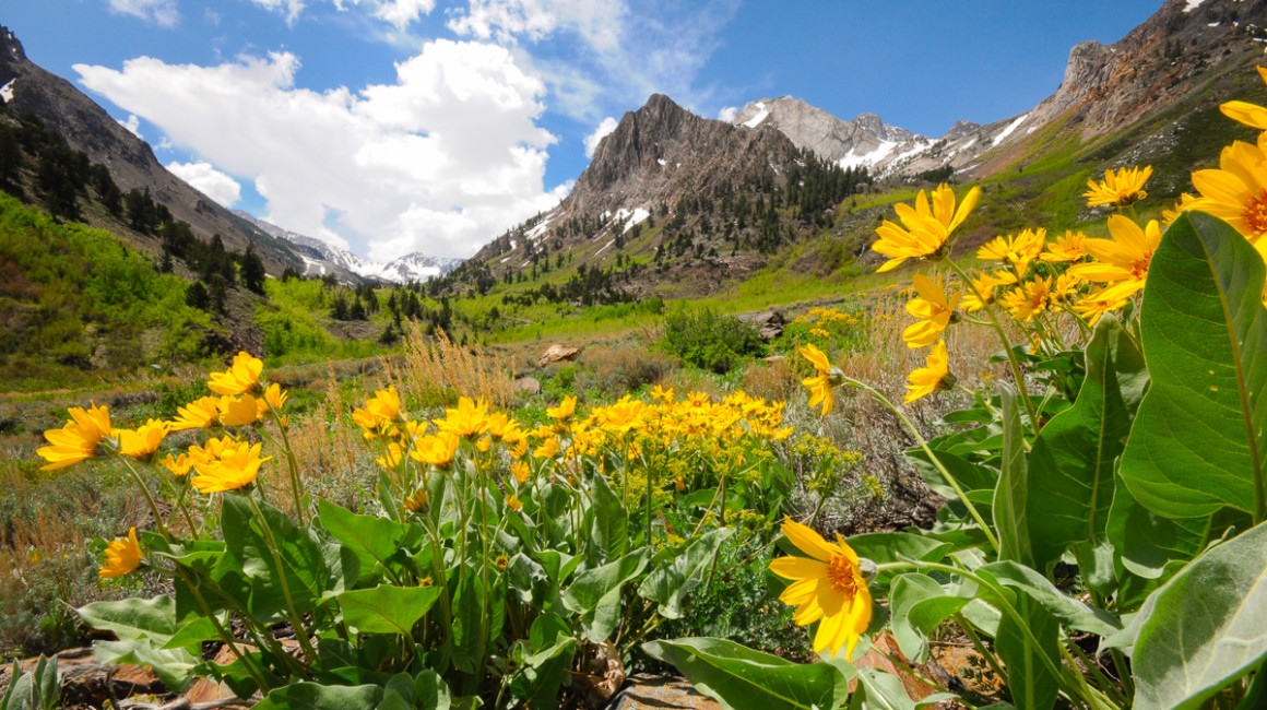 McGee Creek trail