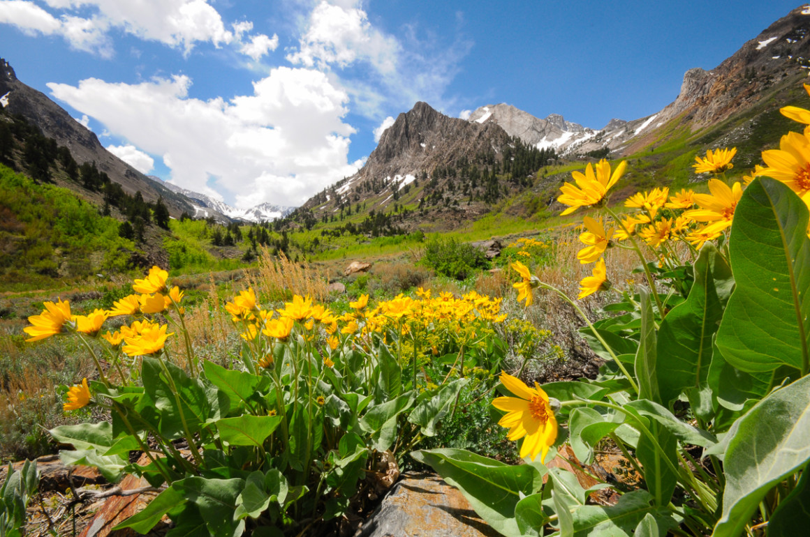 McGee Creek trail