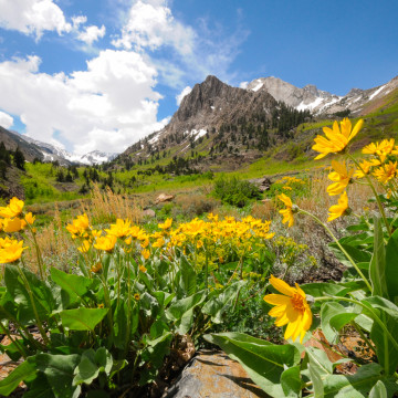 McGee Creek trail