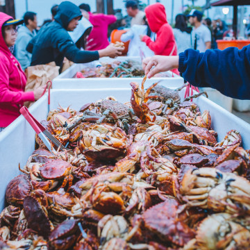 Dory Fleet Market